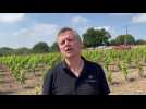 Philippe Minne de chez VivArdent