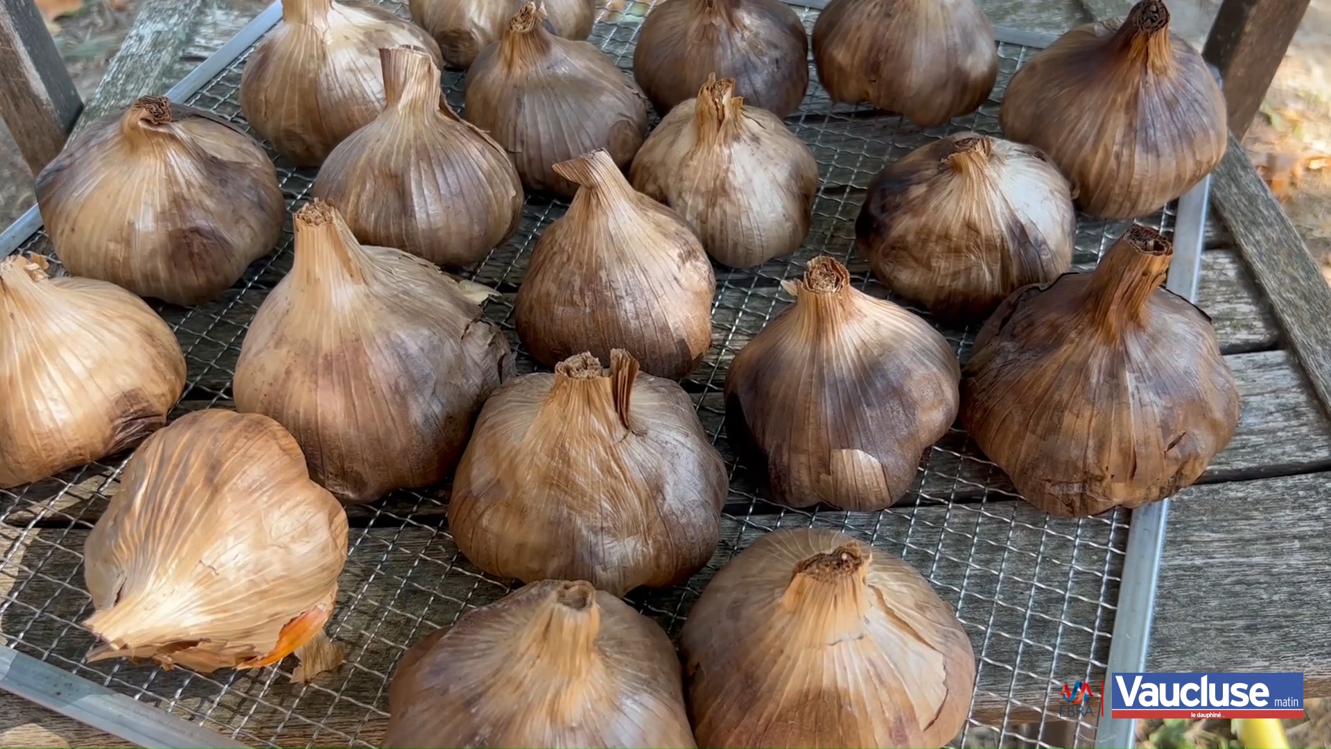 L'ail noir : un super-aliment à faire chez soi - Vaucluse