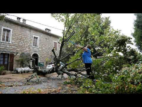 Corsica storms: Five killed, several injured as hurricane-force winds hit French island