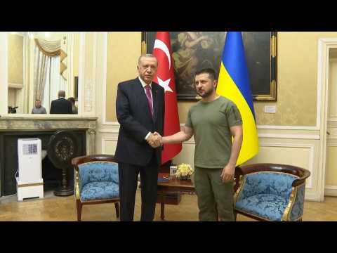 Zelensky meets Turkish President Erdogan in Lviv