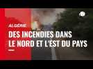 VIDÉO. En Algérie, 38 personnes sont mortes à cause des incendies