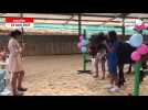 VIDEO. À Vire Normandie, un club équestre organise le mariage de deux poneys