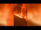 Firefighters battle huge wildfire in southeastern Spain
