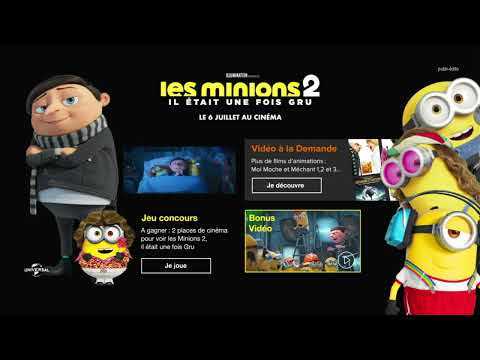 Captation Canal 29  - Les Minions 2
