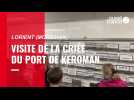 VIDÉO. A Lorient, dans les coulisses de la criée du port de Keroman