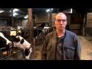 Reportage sur la sécheresse dans une ferme laitière de Coulomby
