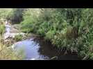 Marby : pollution de la rivière Sormonne