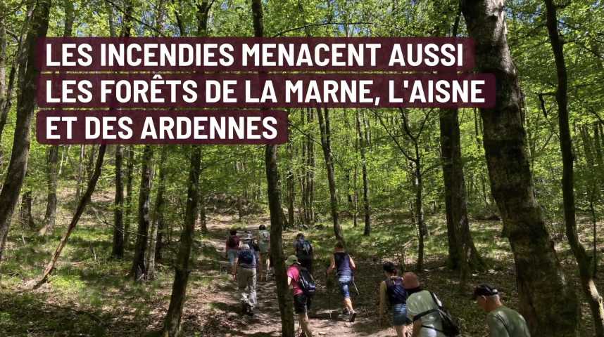 Couper du bois dans une forêt de l'Aisne, une pratique qui revient à la  mode mais qui n'est pas sans risque - L'Aisne nouvelle