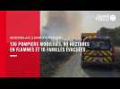 VIDEO. 136 pompiers mobilisés, 90 hectares en flammes et 10 familles évacuées à Montrelais (Loire-Atlantique)