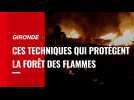 VIDÉO. Feux tactiques et abattage d'arbres : ces techniques pour endiguer les incendies en Gironde