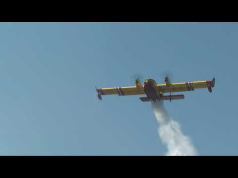 Canadair, firefighters tackle forest fires in France's Gironde