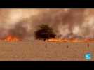 Incendies en Europe : l'Espagne se bat contre les flammes et la canicule
