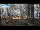 VIDEO. A Mulsanne, un incendie ravage un massif forestier