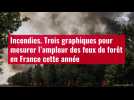 VIDÉO. Incendies. Trois graphiques pour mesurer l'ampleur des feux de forêt en France cett