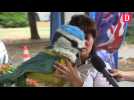 Ariège : quand les animaux font la révolution, au festival de marionnettes MiMa
