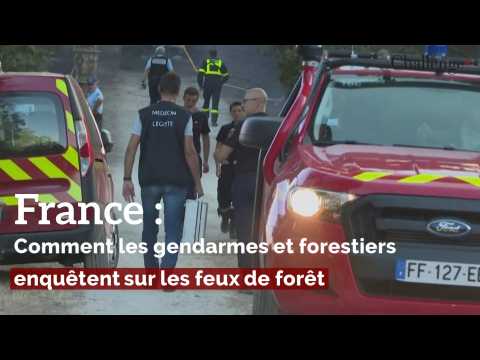 France: Comment les gendarmes et forestiers enquêtent sur les feux de forêt