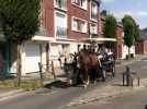 Balades en calèche à Doullens