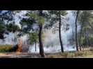VIDEO. Un impressionnant incendie est en cours au sud du Mans