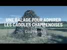 Une balade pour admirer les cadoles champenoises