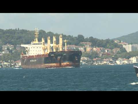 Ship carrying Ukrainian grain passes through Bosphorus