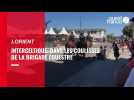 VIDEO. Festival Interceltique de Lorient : dans les coulisses de la brigade équestre