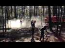 VIDEO. Retour sur le spectaculaire incendie qui a ravagé 7 haÿ de forêt au sud du Mans