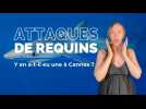 Attaque de requin à Cannes, vraiment ?