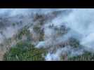 Forest fire tears through national park on Czech border with Germany