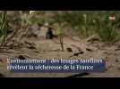 Environnement : des images satellites révèlent la sécheresse de la France