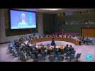Le Conseil de sécurité de l'ONU s'est réuni pour parler de la situation à Gaza