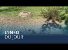 L'info du jour | 9 août - Matin