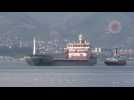 First grain ship from Ukraine to reach final destination docks in Turkey