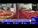 Rhône : moins de framboises sur les marchés