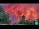 Reprises d'incendies en Gironde : 6 000 hectares de forêts déjà détruits