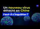 Un nouveau virus détecté en Chine : faut-il s'inquiéter ?