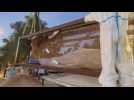 Sauvetage du béluga dans la Seine : les images du cétacé avant son transport dans un camion réfrigéré