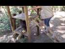 Rafraîchissement pour les ratons laveurs du Parc Argonne Découverte