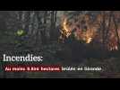 Incendies: 6.800 hectares brûlés en Gironde depuis mardi