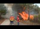 Firefighters battle national park blaze in central Portugal
