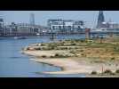 Germany drought: River Rhine water levels could fall to critical low