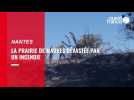 VIDEO. La prairie de Mauves dévastée par un incendie