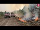 Incendies en Gironde : reportage dans le secteur de Landiras, en proie aux flammes