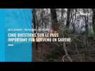 VIDÉO. Feux de forêt en Sarthe : cinq questions sur cet incendie d'ampleur