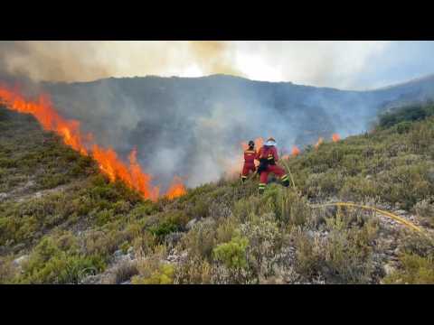 Firefighters struggle to control fires in eastern Spain
