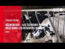 VIDEO. Sécheresse à Quimper : « On risque de ne pas avoir assez de fourrage pour l'hiver »