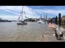 Vidéo. Solitaire du Figaro 2022. Le départ de la parade navale donné à Nantes ce samedi midi