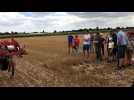 Jeunes agriculteurs Verlinghem