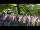 37,000 flags in Boston park commemorate fallen soldiers