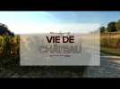 Vie de Chateau ARCHE mai 2021 PARTIE 01