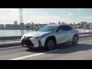 2021 Lexus UX 200 Platinum Silver F SPORT Driving Video